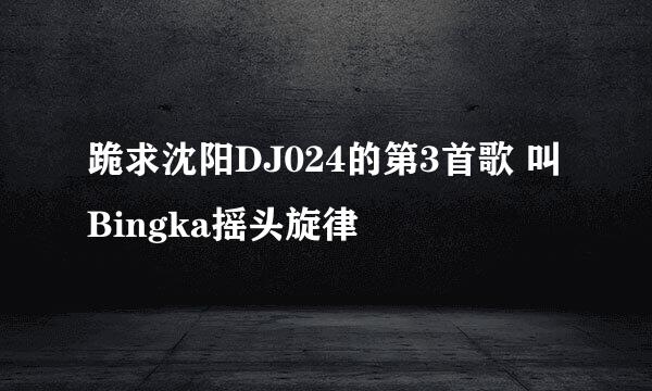 跪求沈阳DJ024的第3首歌 叫Bingka摇头旋律