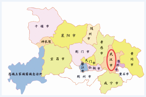 武汉的市区面积有多大？多少平方公里