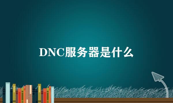 DNC服务器是什么